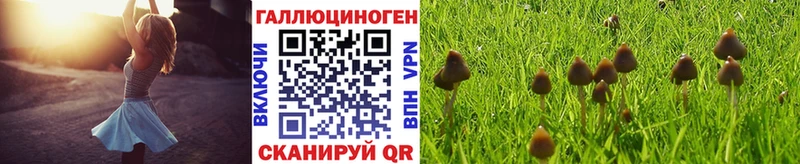 Псилоцибиновые грибы прущие грибы  Артёмовский 
